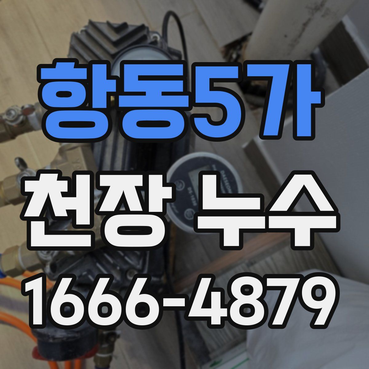 항동5가 천장 누수