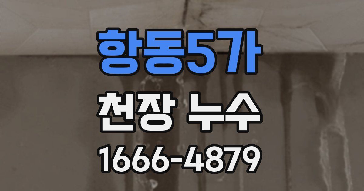 항동5가 천장 누수