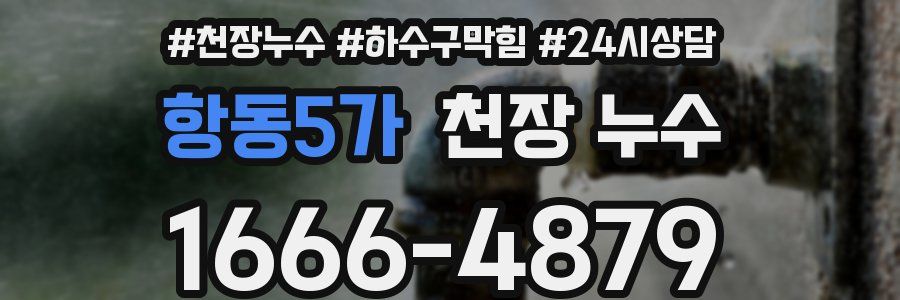 항동5가 천장 누수