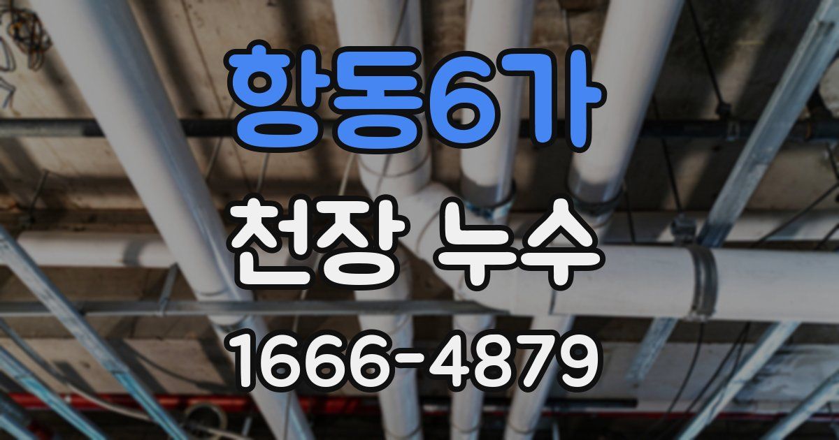 항동6가 천장 누수