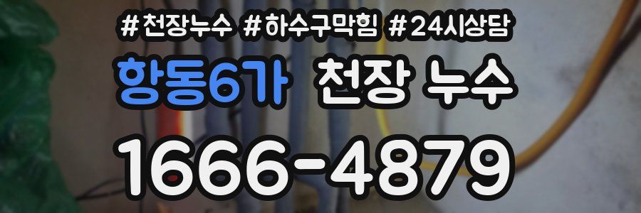 항동6가 천장 누수