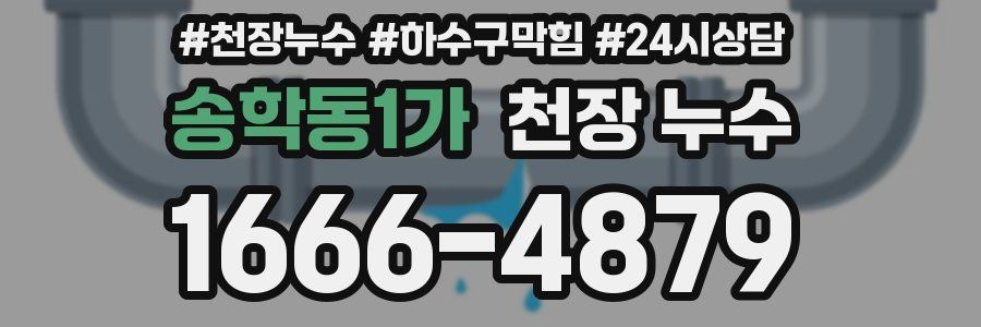 송학동1가 천장 누수