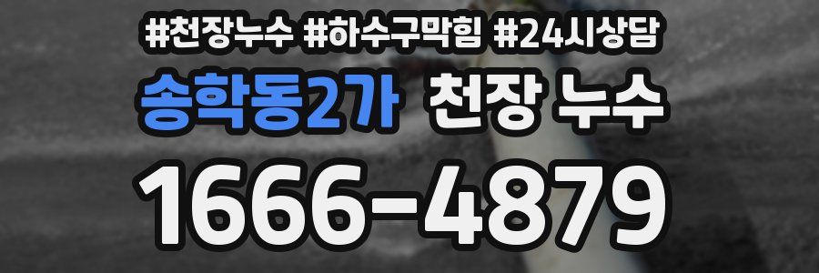 송학동2가 천장 누수