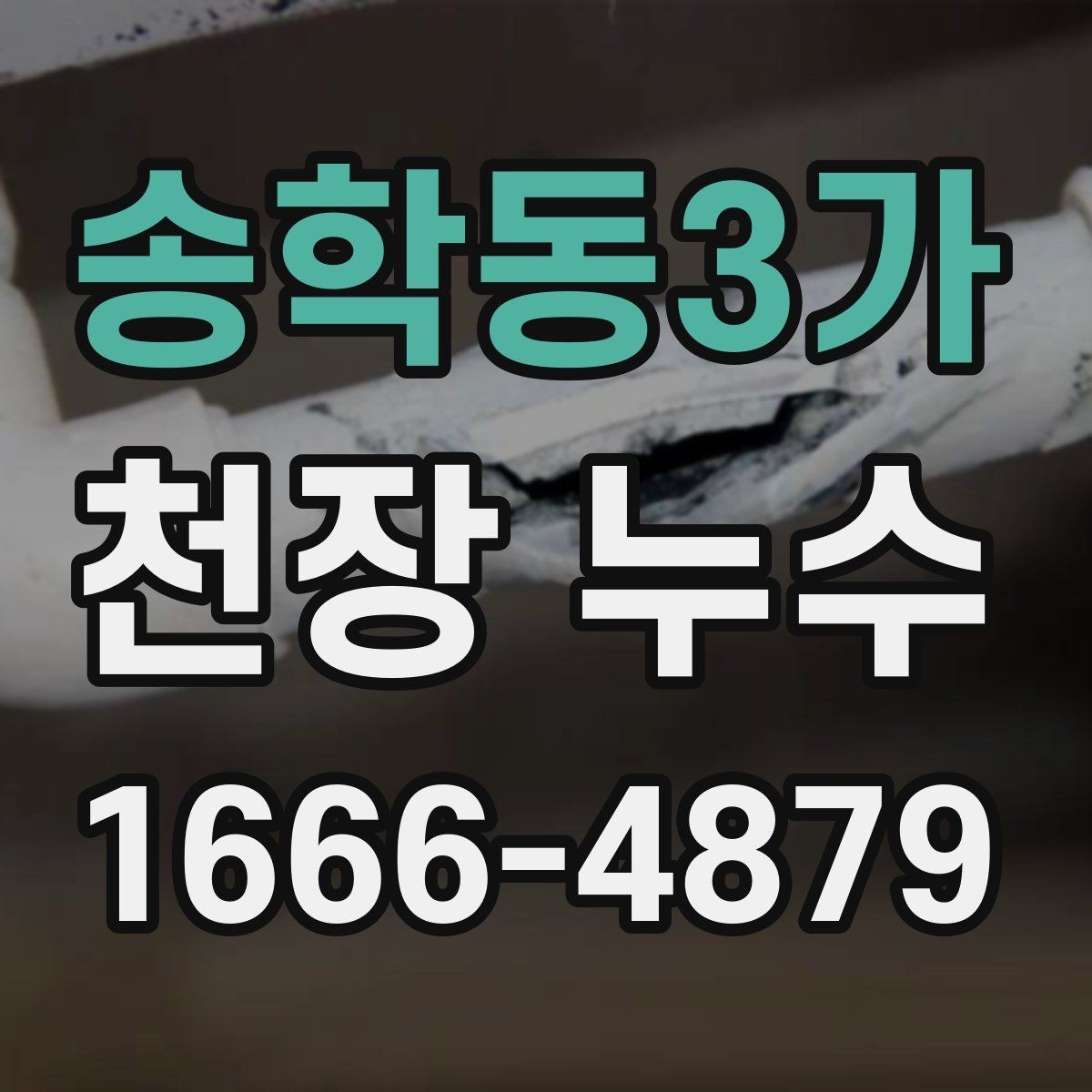 송학동3가 천장 누수 곰팡이가 번지기 전 확인하세요