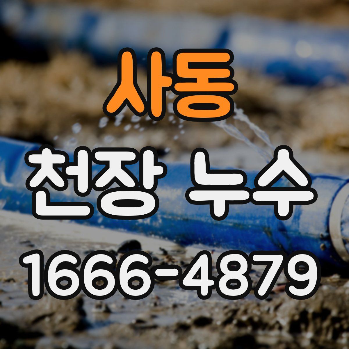 사동 천장 누수