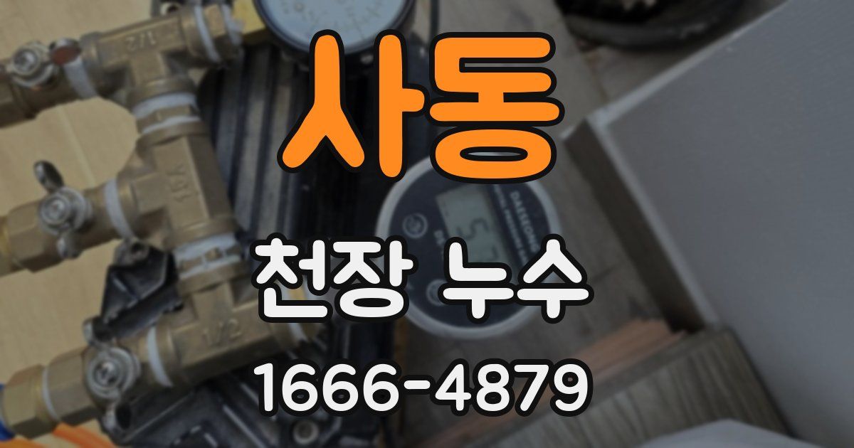 사동 천장 누수