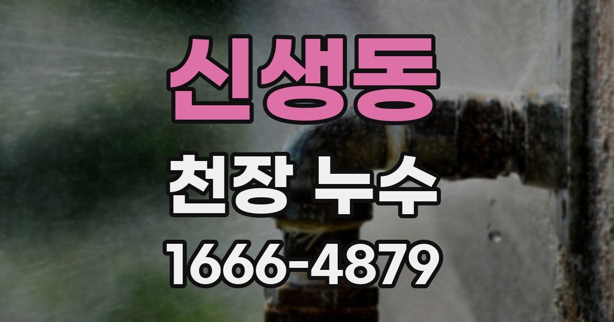 신생동 천장 누수