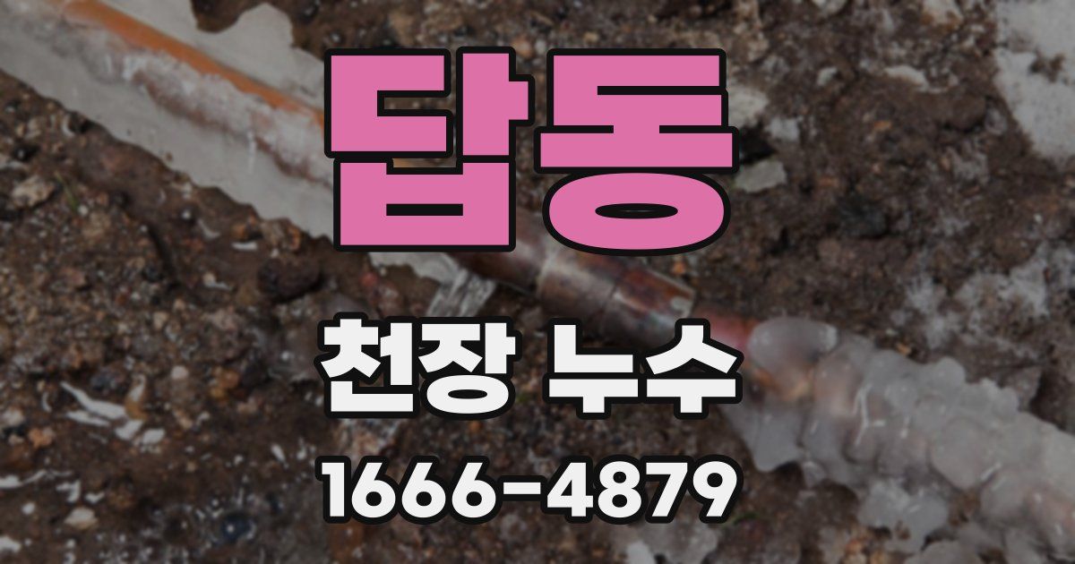 답동 천장 누수