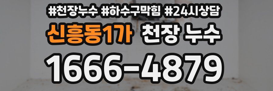 신흥동1가 천장 누수