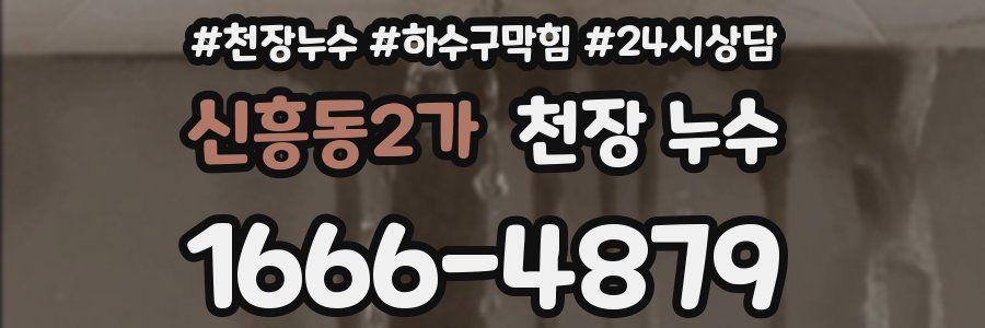 신흥동2가 천장 누수