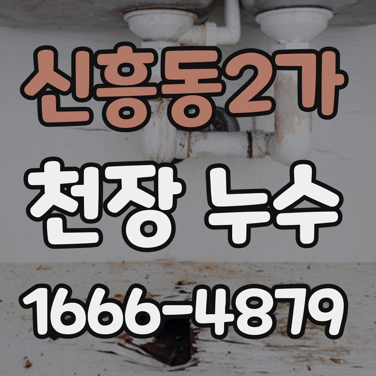 신흥동2가 천장 누수