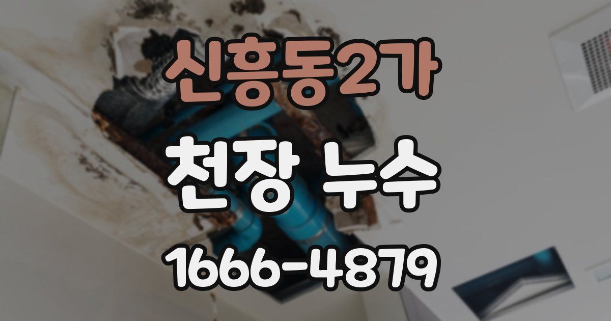 신흥동2가 천장 누수