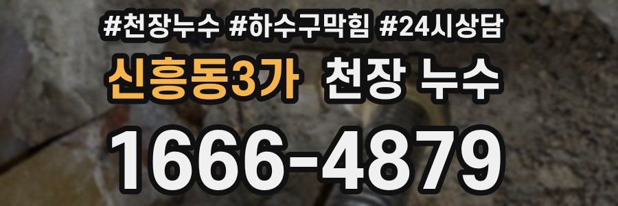 신흥동3가 천장 누수