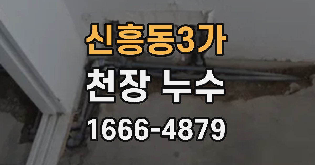 신흥동3가 천장 누수