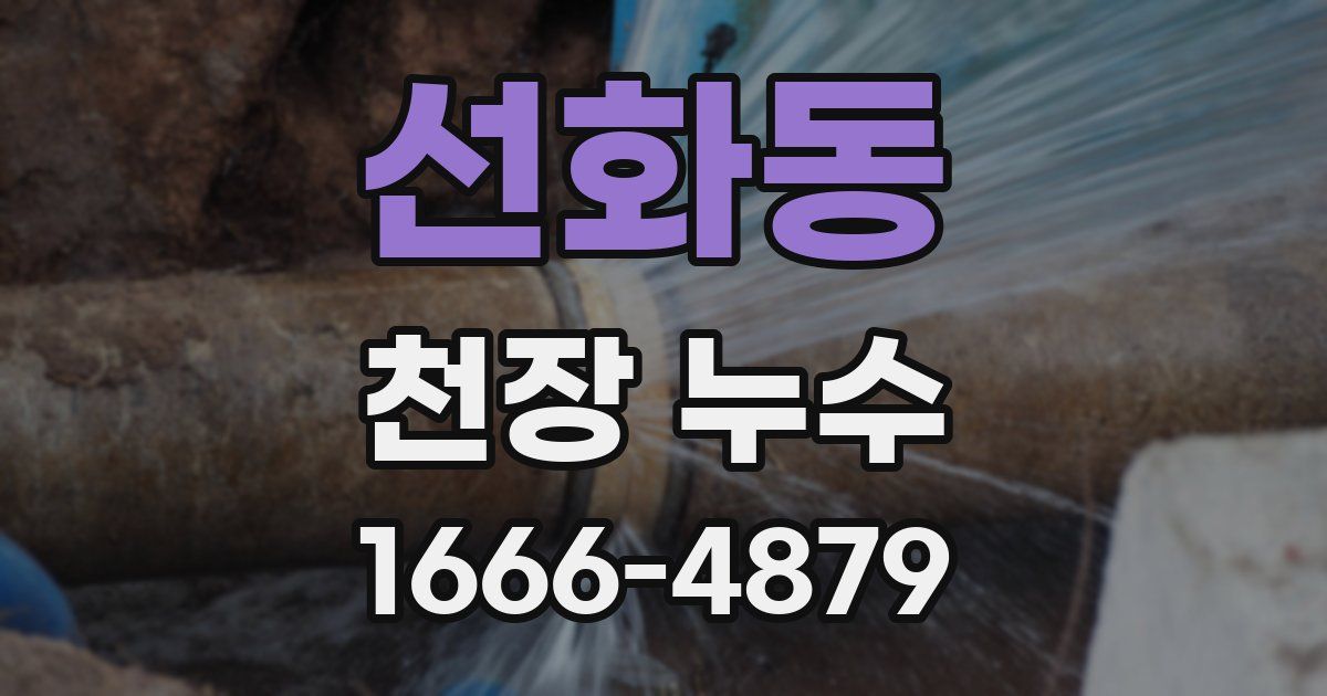 선화동 천장 누수