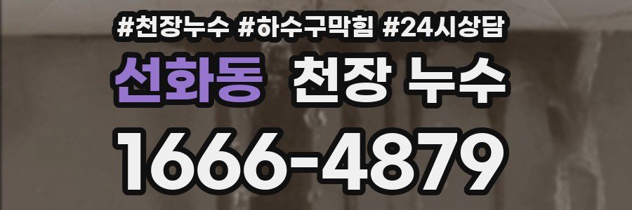 선화동 천장 누수