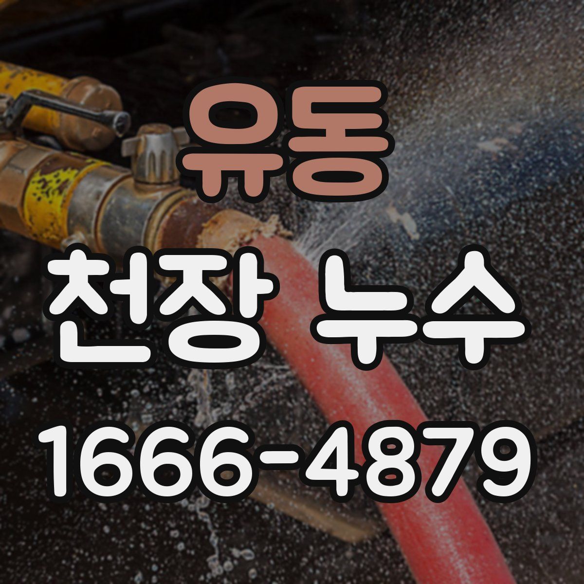 유동 천장 누수