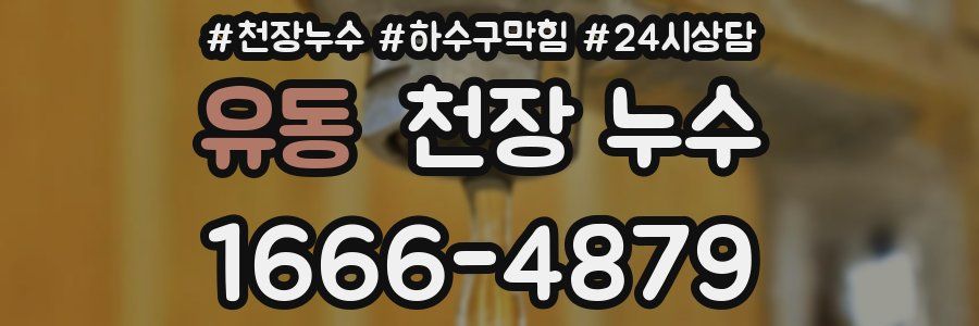 유동 천장 누수