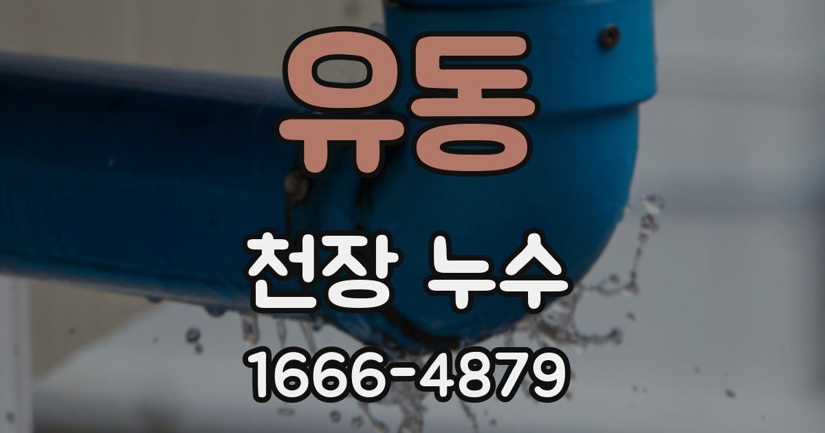 유동 천장 누수