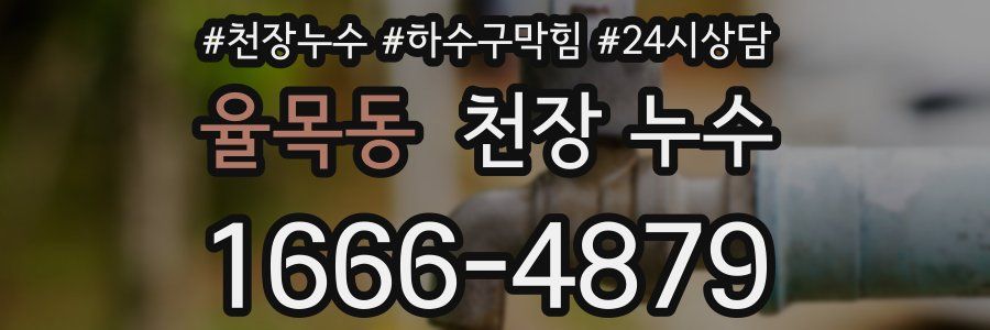 율목동 천장 누수