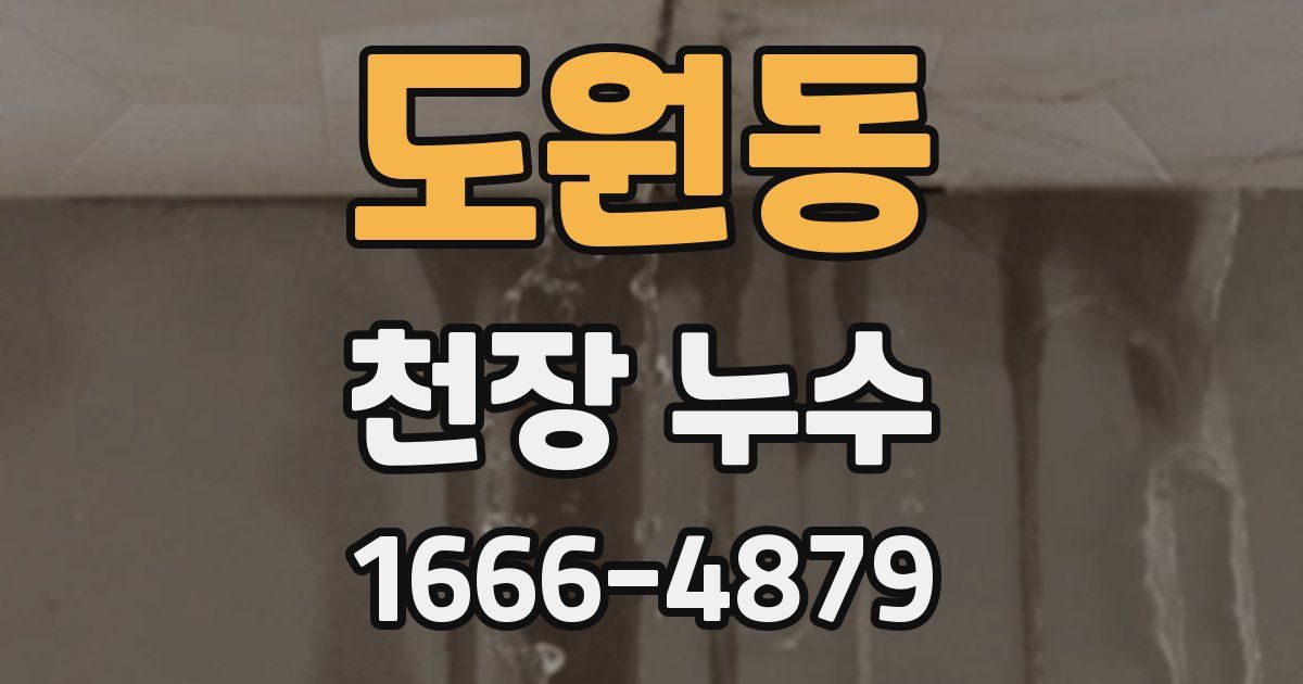 도원동 천장 누수