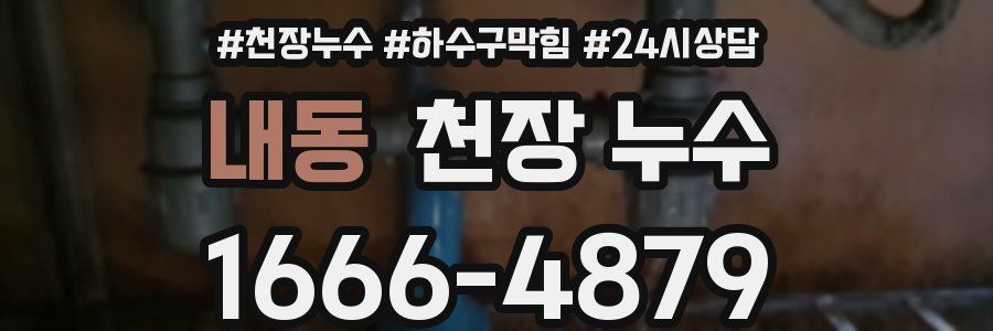 내동 천장 누수