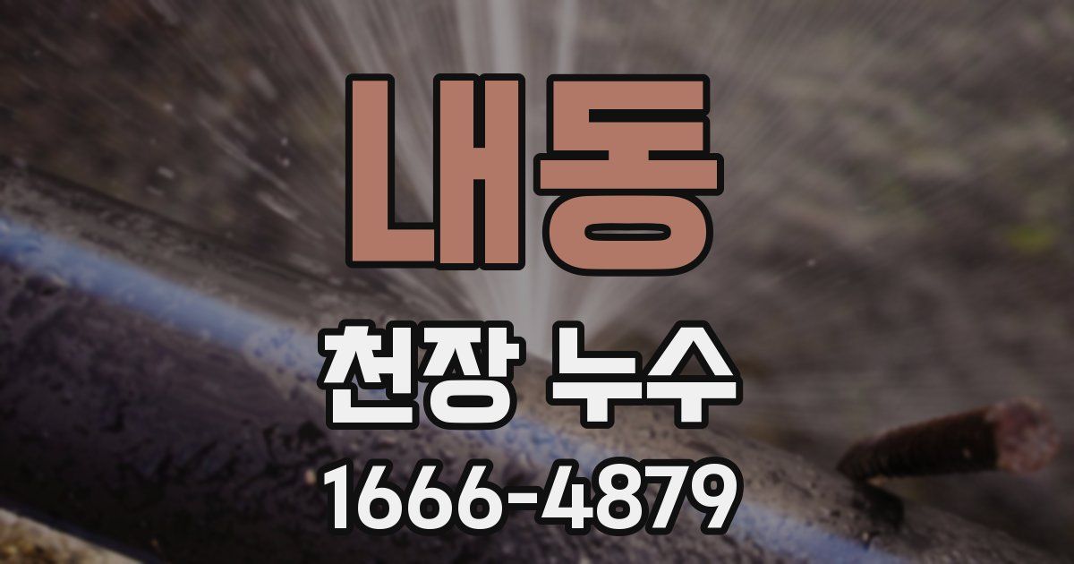 내동 천장 누수
