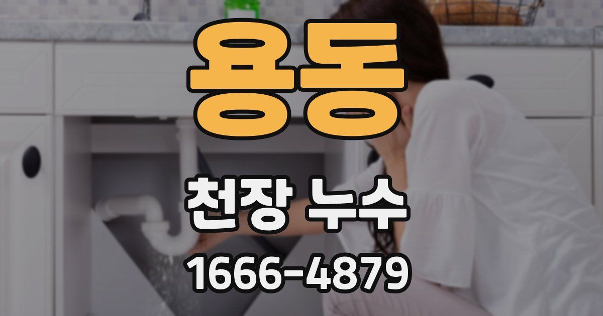 용동 천장 누수