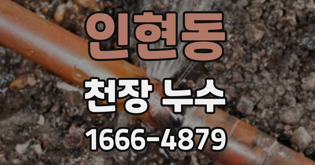 인현동 천장 누수