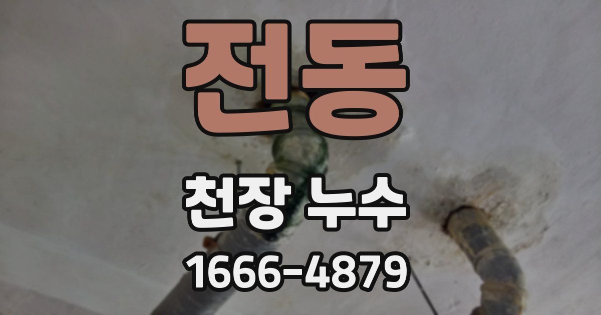 전동 천장 누수