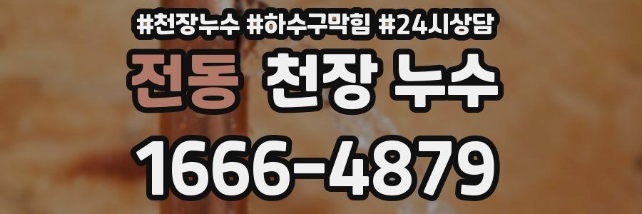 전동 천장 누수