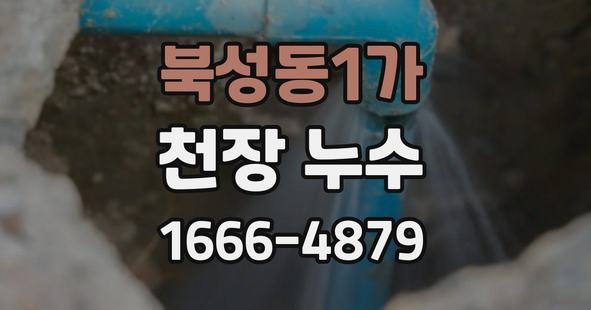 북성동1가 천장 누수