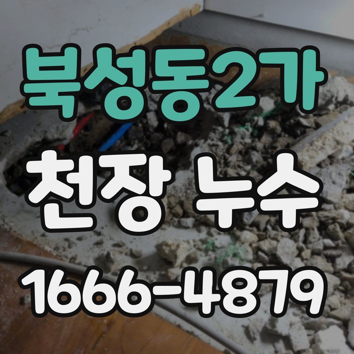 북성동2가 천장 누수 곰팡이 번식 환경이 생기기 전