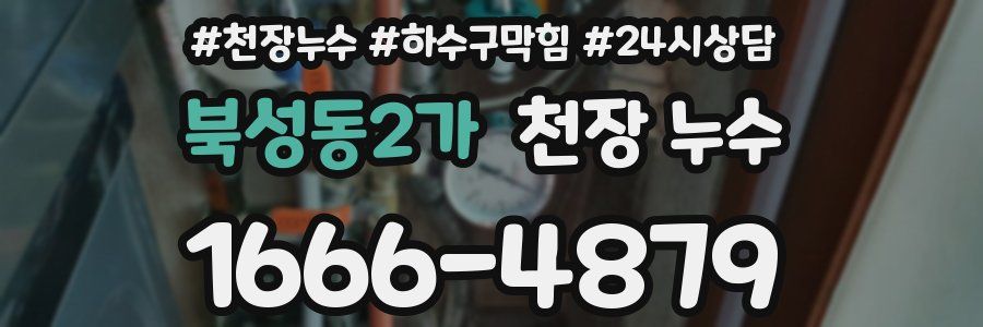 북성동2가 천장 누수