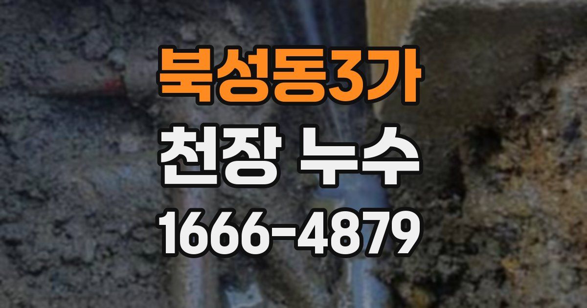 북성동3가 천장 누수
