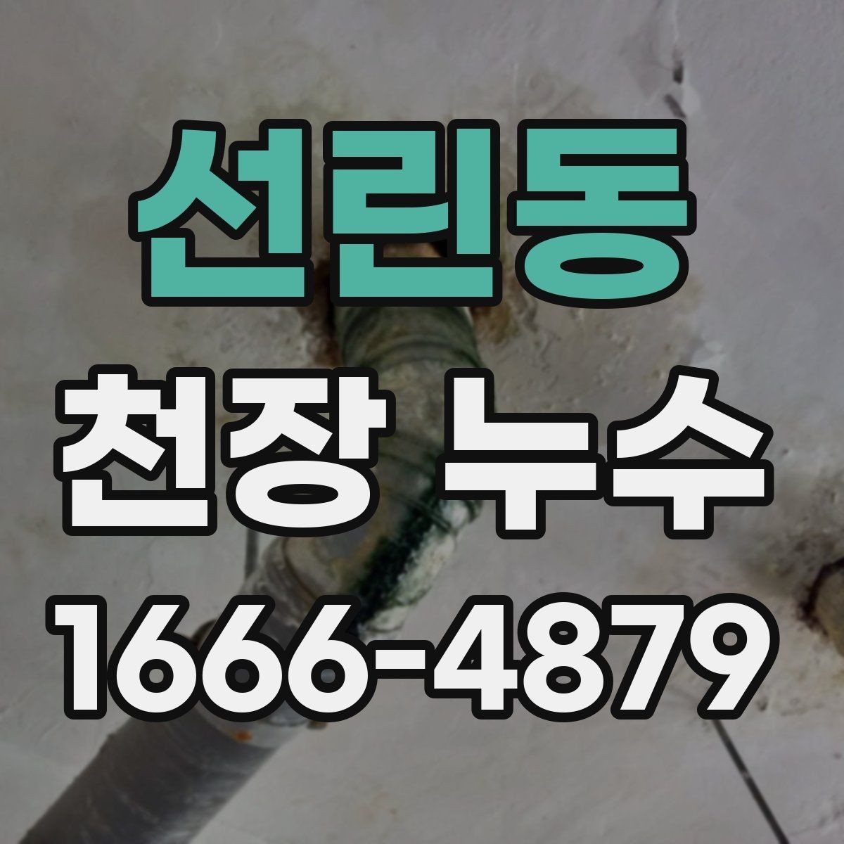 선린동 천장 누수 스프링클러 헤드 주변 물자국이 생기는 이유