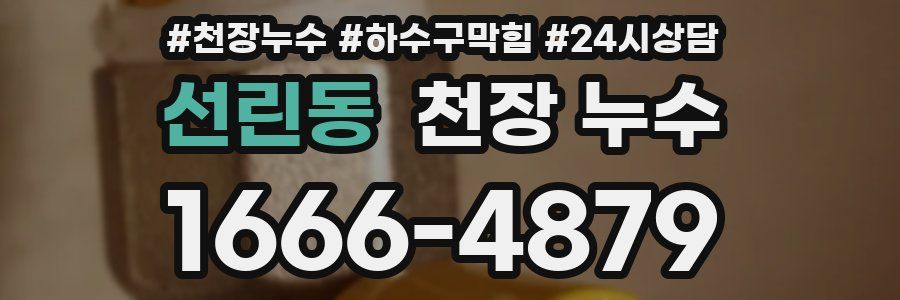 선린동 천장 누수