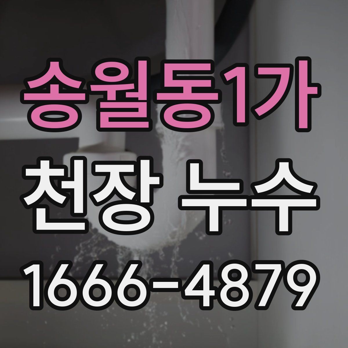 송월동1가 천장 누수 도배 덧대면 더 늦어질 수 있는 이유