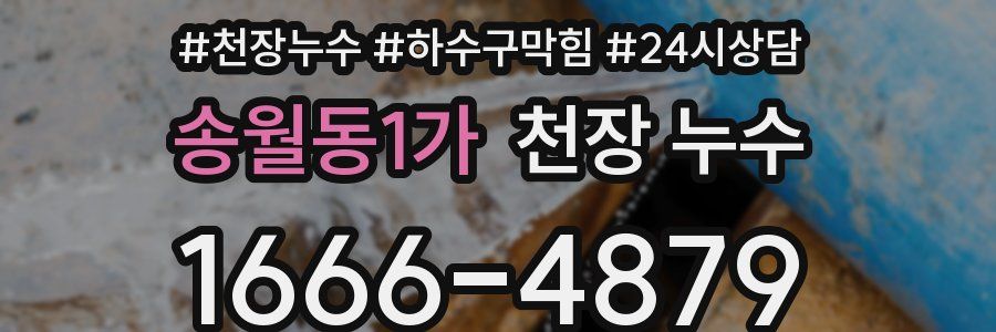 송월동1가 천장 누수