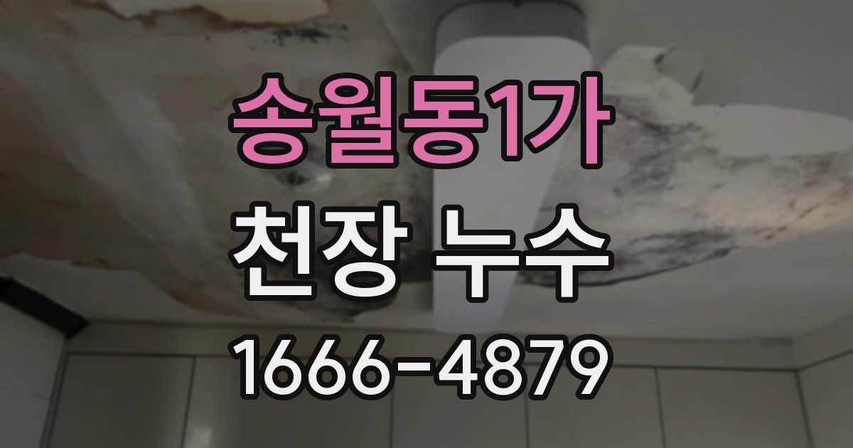송월동1가 천장 누수