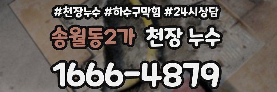송월동2가 천장 누수