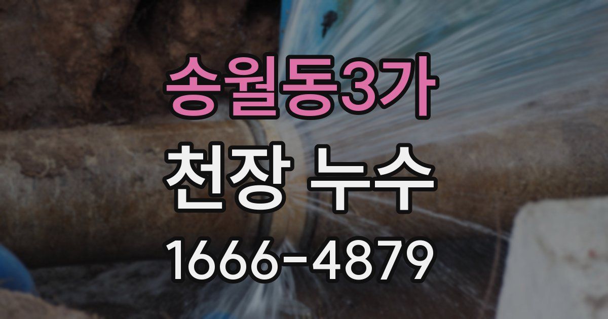 송월동3가 천장 누수