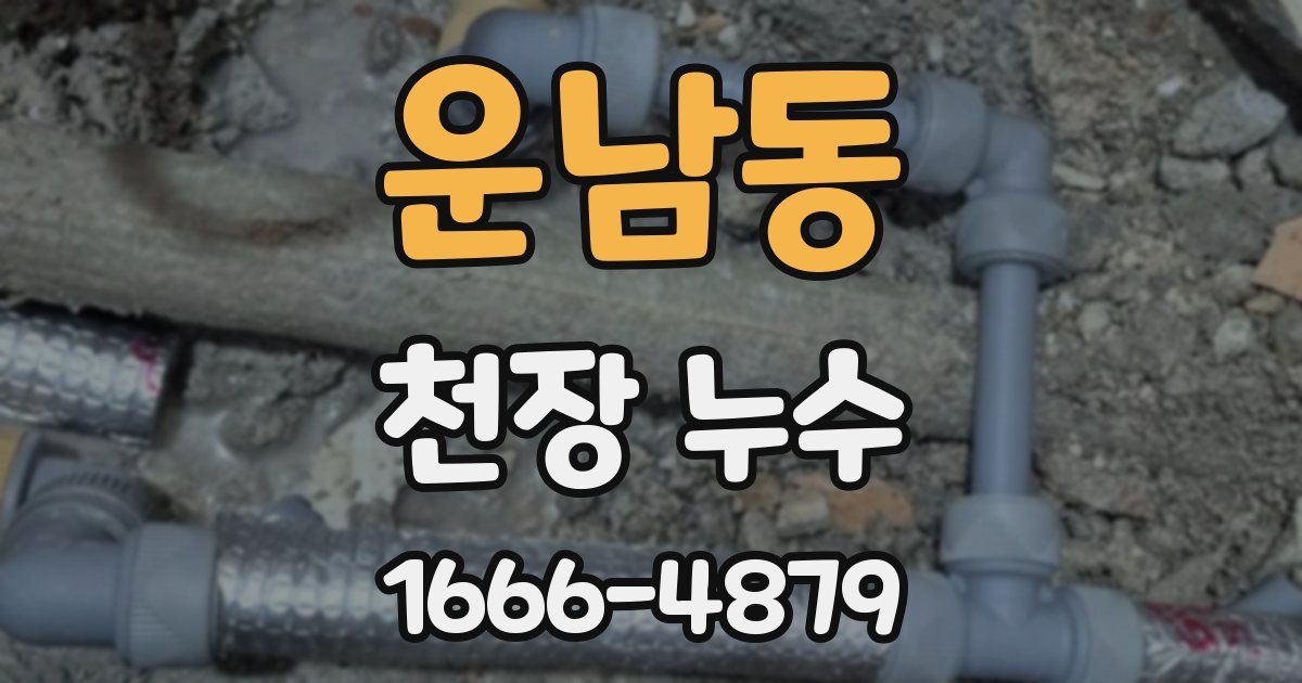 운남동 천장 누수