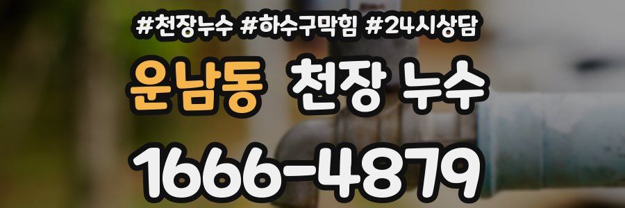 운남동 천장 누수