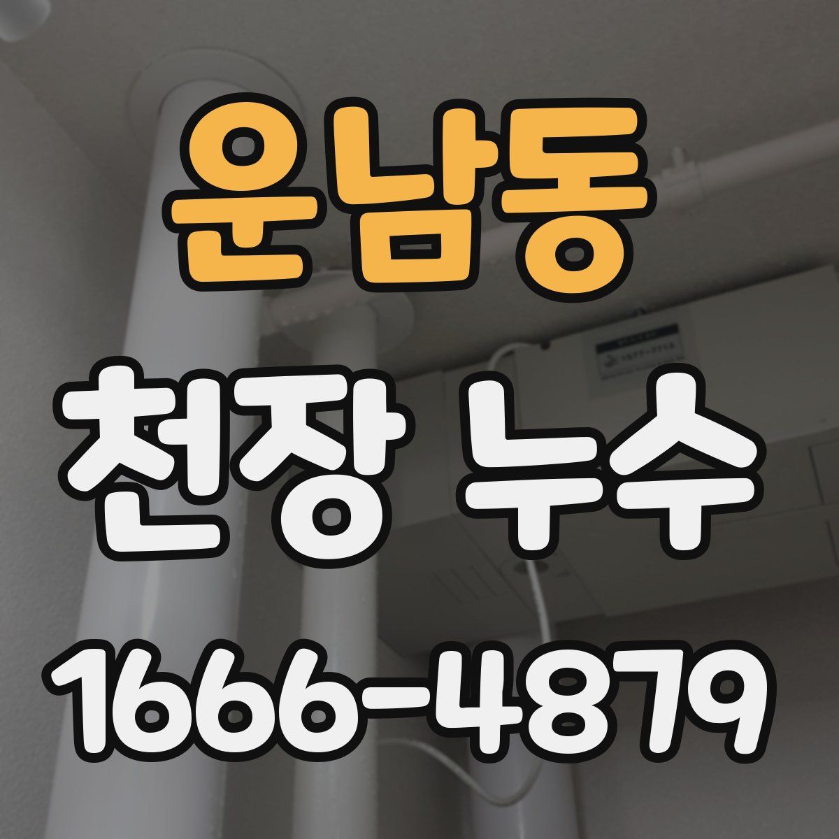 운남동 천장 누수