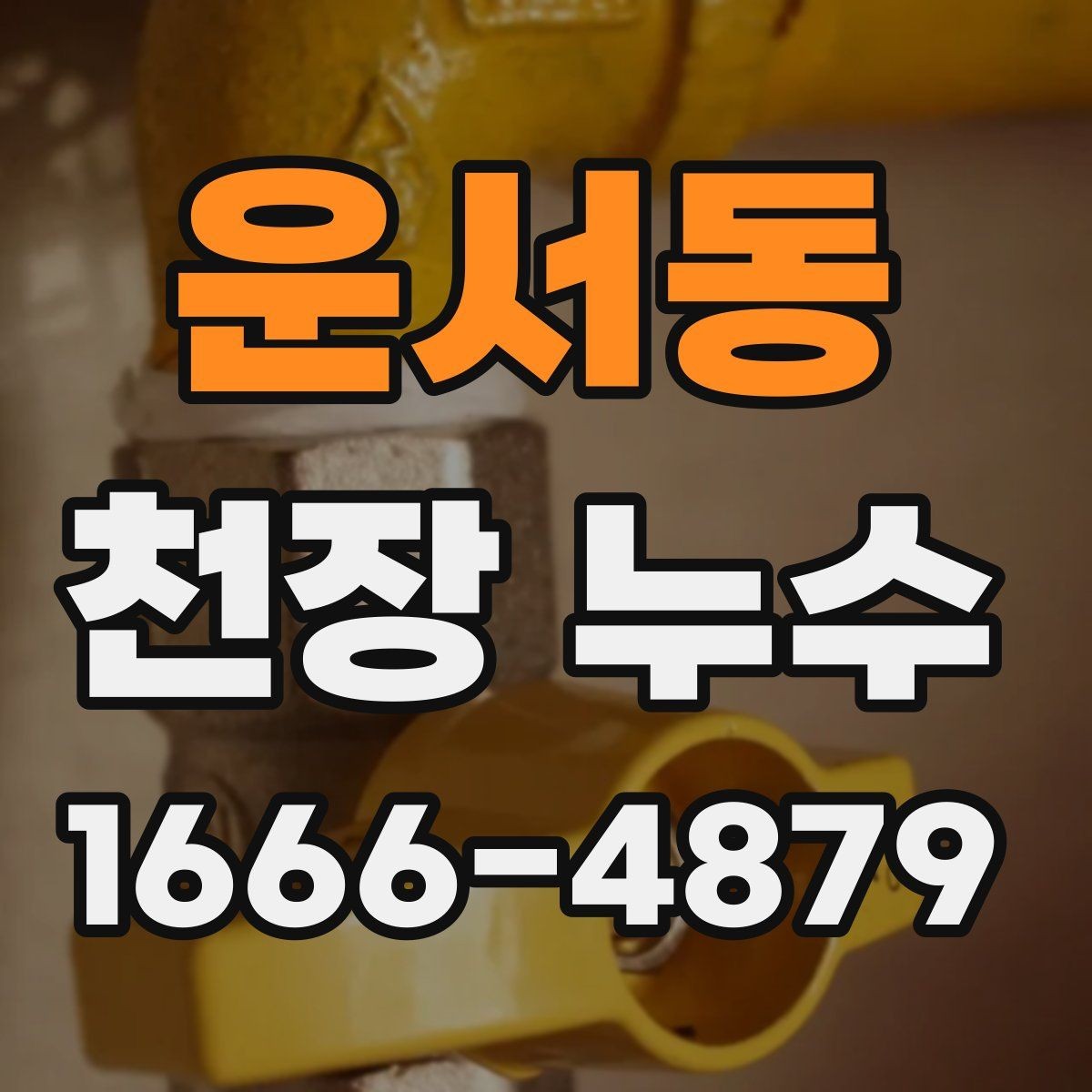 운서동 천장 누수 도배가 들뜨기 전에