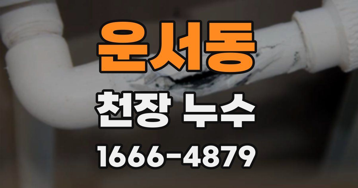 운서동 천장 누수