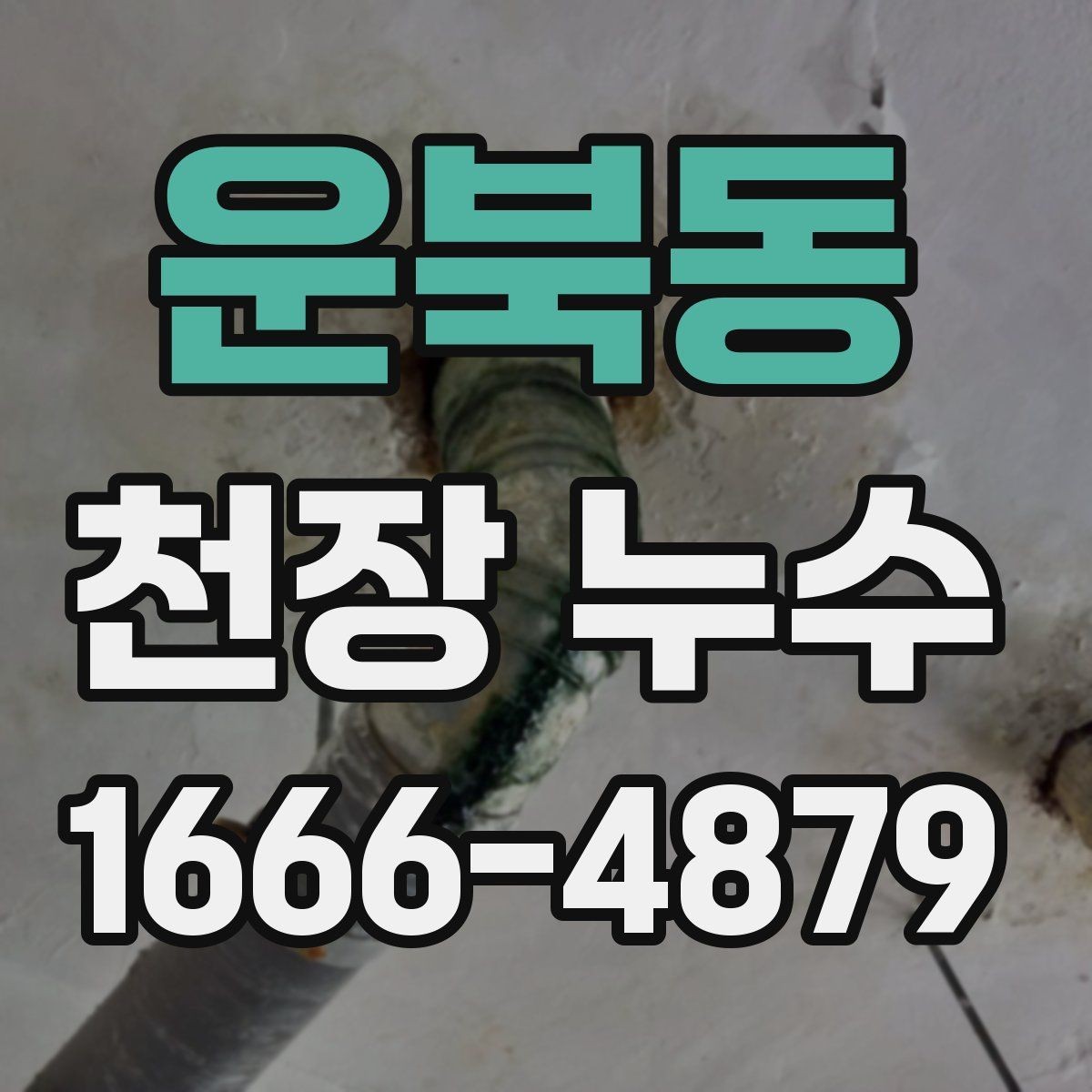 운북동 천장 누수 전등 주변이 젖을 때 주의