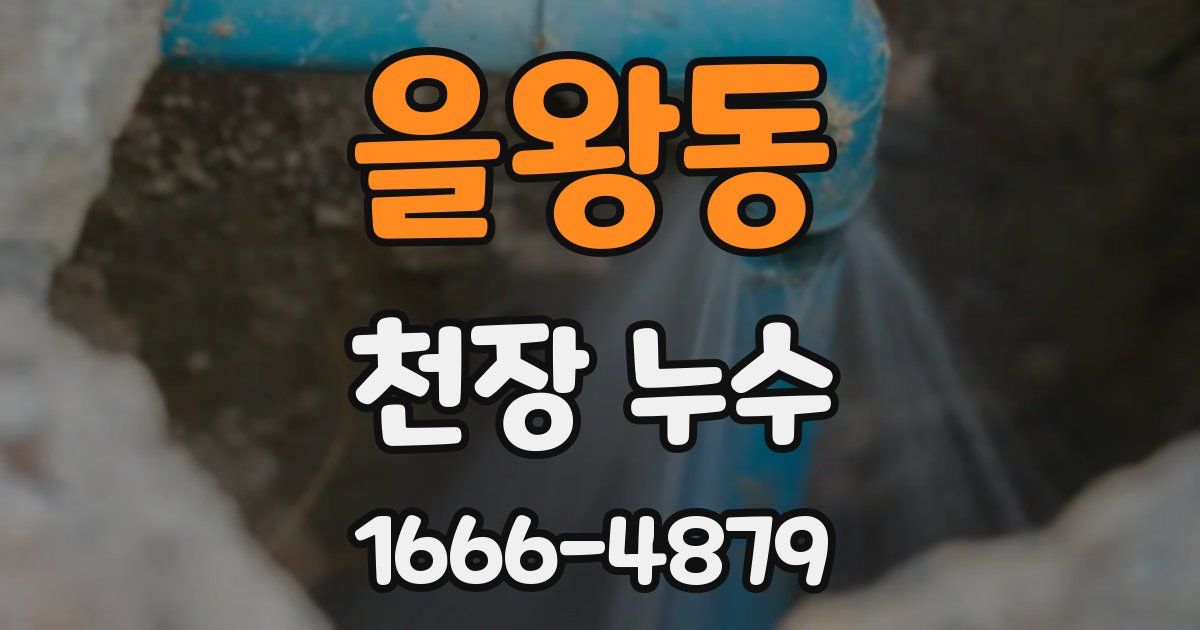 을왕동 천장 누수
