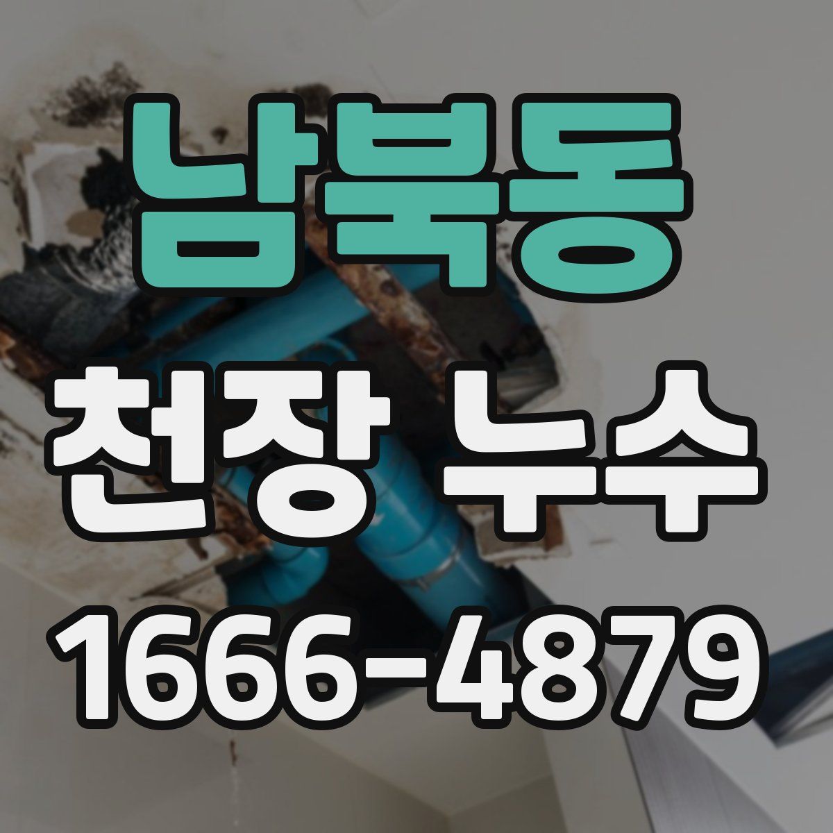 남북동 천장 누수